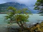 Argentina, Patagonia, Tierra del Fuego. Lago Acigami with lenga beech trees. Art Print